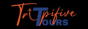 tripfive logo